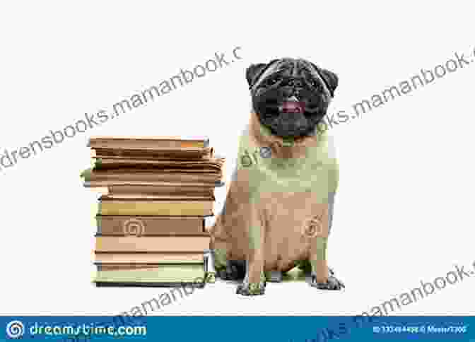 A Dog Sitting On A Pile Of Homework Our Bad Dogs (Short Stories From My Jamaican Childhood 1)