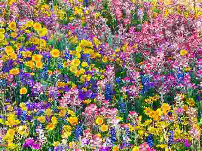 A Field Of Wildflowers In Full Bloom, With A Vibrant Array Of Colors And Textures. Made Of Earth (Still Growing Wildflowers 3)