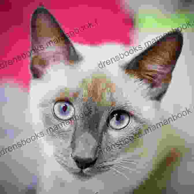 A Stunning Portrait Of A Siamese Cat, Its Piercing Blue Eyes Gazing Into The Distance. The Mysterious Art Of The Cat