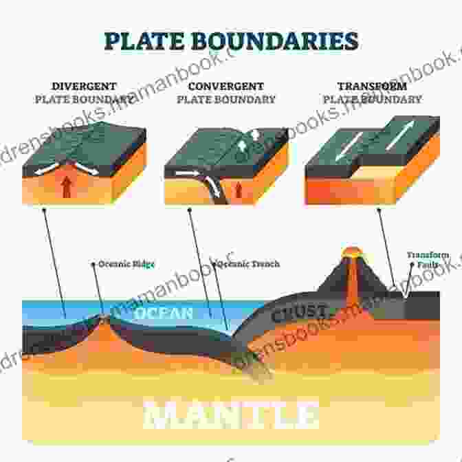 Major Tectonic Forces, Such As Plate Tectonics And Gravity, Play A Significant Role In Shaping The Earth's Geological Structures. Structural Geology (Geoscience 3)