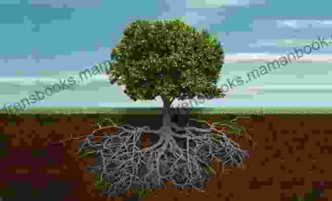 Roots Of A Tree Representing The Foundation And Growth Of The Creative Spirit The Self Completing Tree Dorothy Livesay