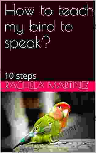 How To Teach My Bird To Speak?: 10 Steps