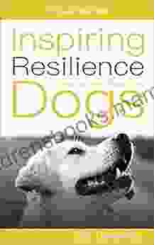 Inspiring Resilience In Fearful And Reactive Dogs