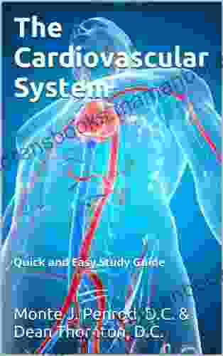 The Cardiovascular System (Quick And Easy Study Guide 2)