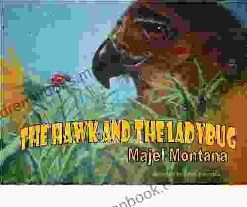 The Hawk And The Ladybug