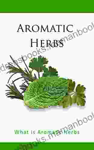 Aromatic Herbs: What Is Aromatic Herbs